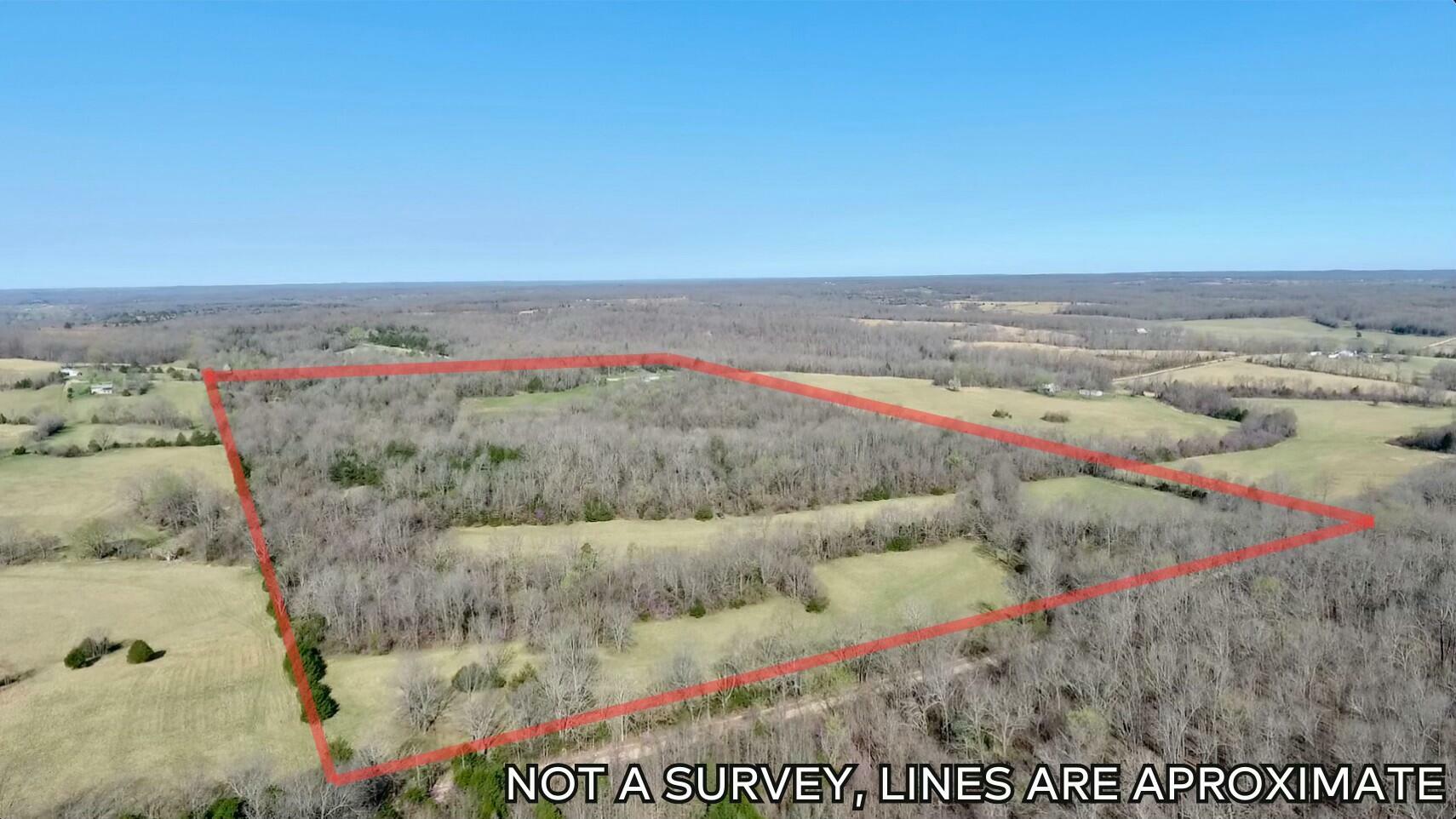 Property Photo: 1380 County Road 219 MO 65791