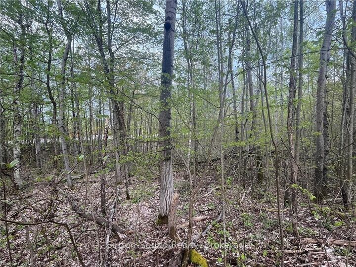 Property Photo:  Lot 6 Grey Road 1 N/A  ON N0H 2T0 