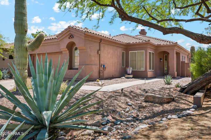 Property Photo:  11451 E Christmas Cholla Drive  AZ 85255 