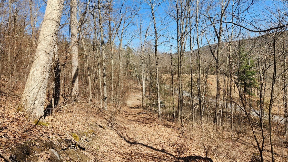 Property Photo:  County Road 13  NY 14810 