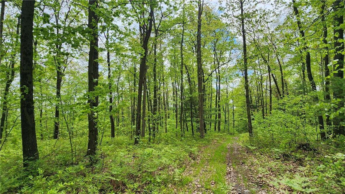 Property Photo: County Road 13 NY 14810