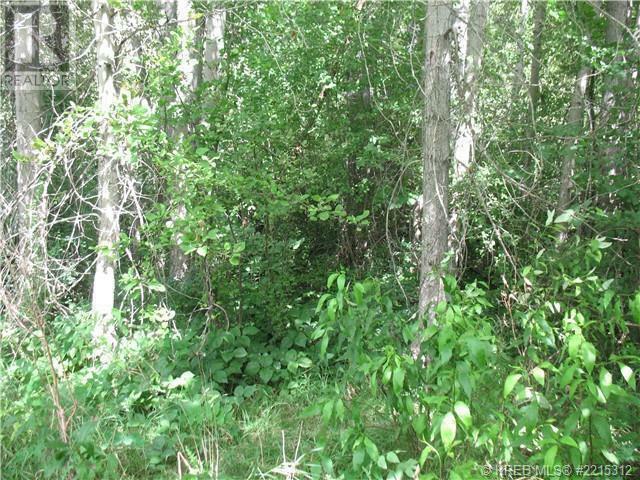 1112 Pass Creek Road  Robson BC V0G 1X0 photo