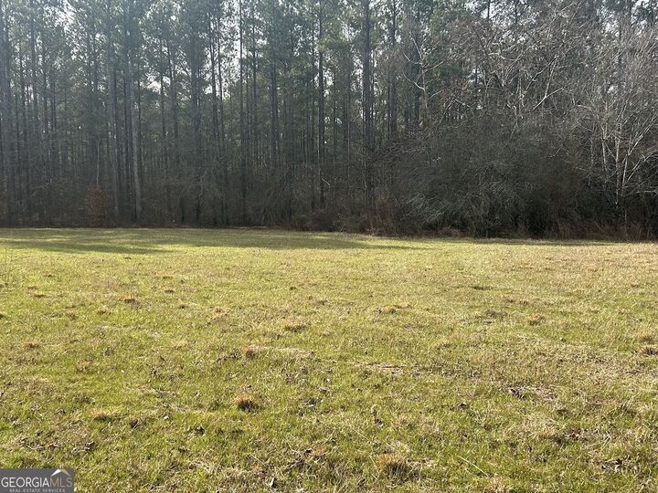 Property Photo:  223 Riversong Road  GA 30117 