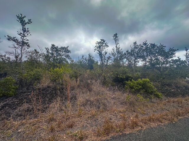 Property Photo:  Bamboo Ln  HI 96737 