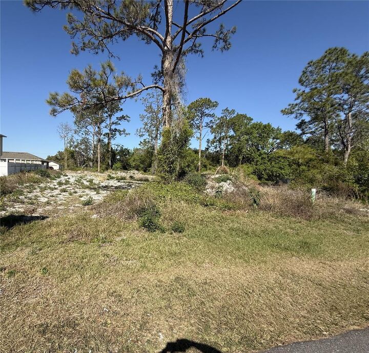 Property Photo:  1302 Congo Court  FL 34759 