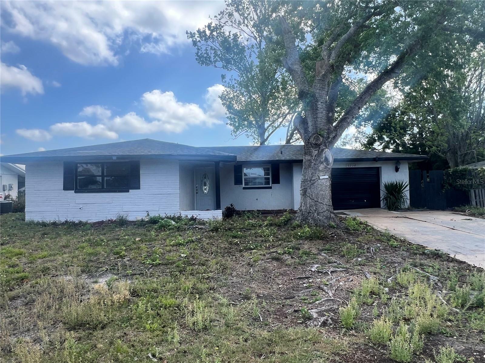 10228 Amadeus Drive  Port Richey FL 34668 photo