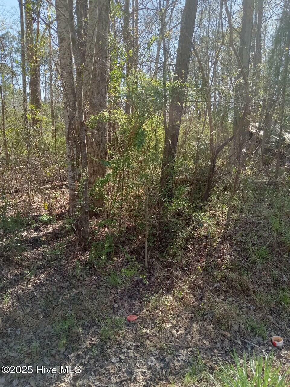 Property Photo: 0 SR 1916 &Amp 1917 NC 27806