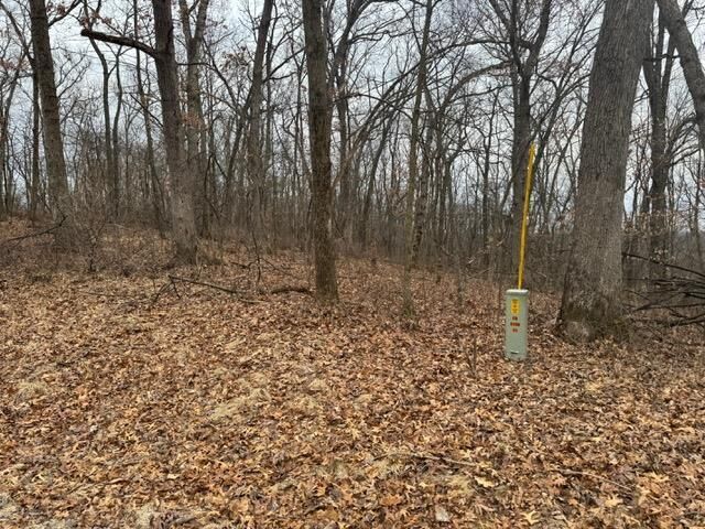 Property Photo: Lot 29 Hidden Meadow Lane WI 53518