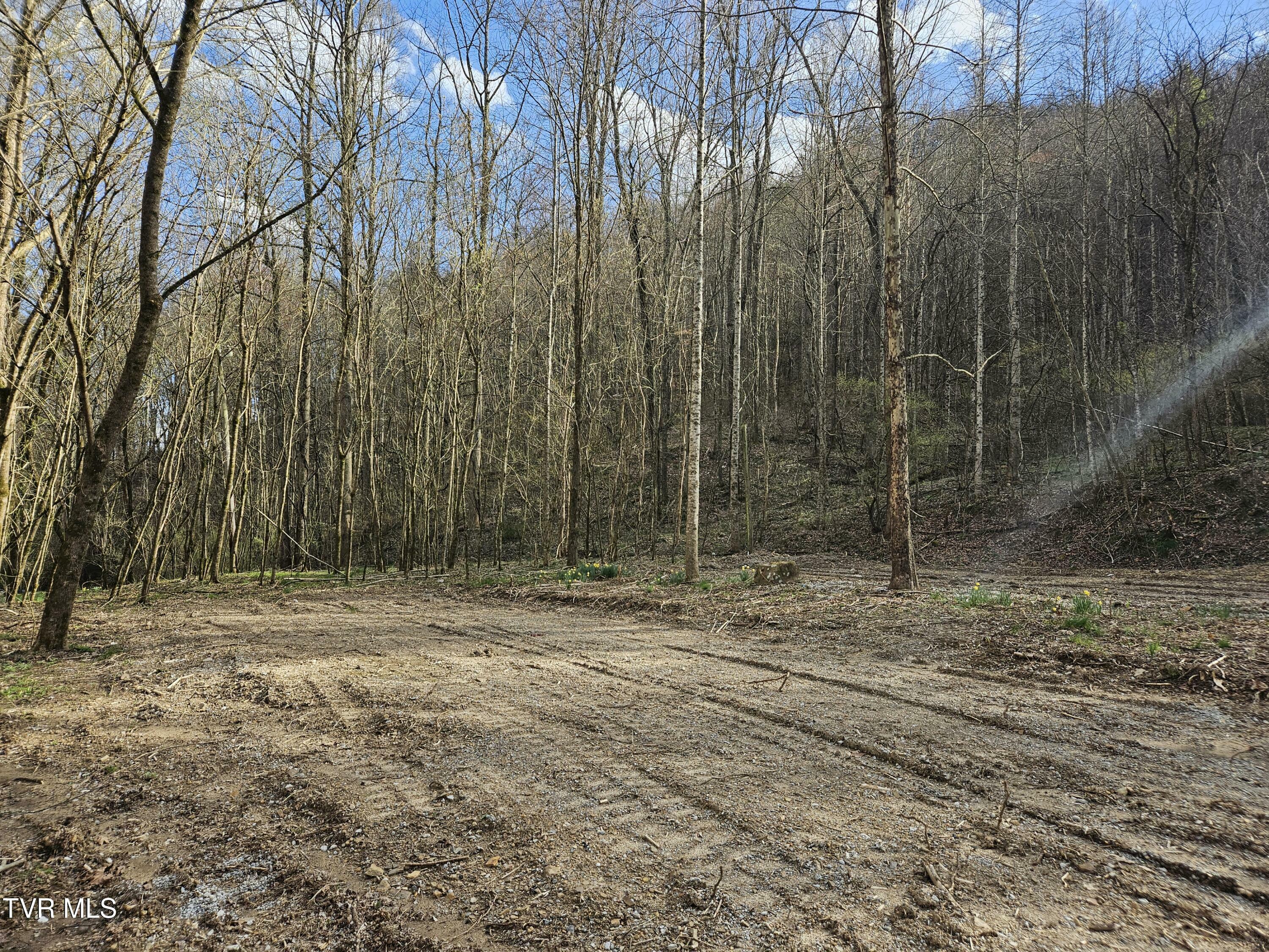 Property Photo:  Tbd Right Poor Valley Road  VA 24243 