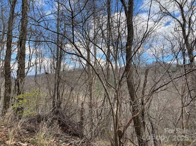 Property Photo:  0000 Everidge Drive  NC 28716 