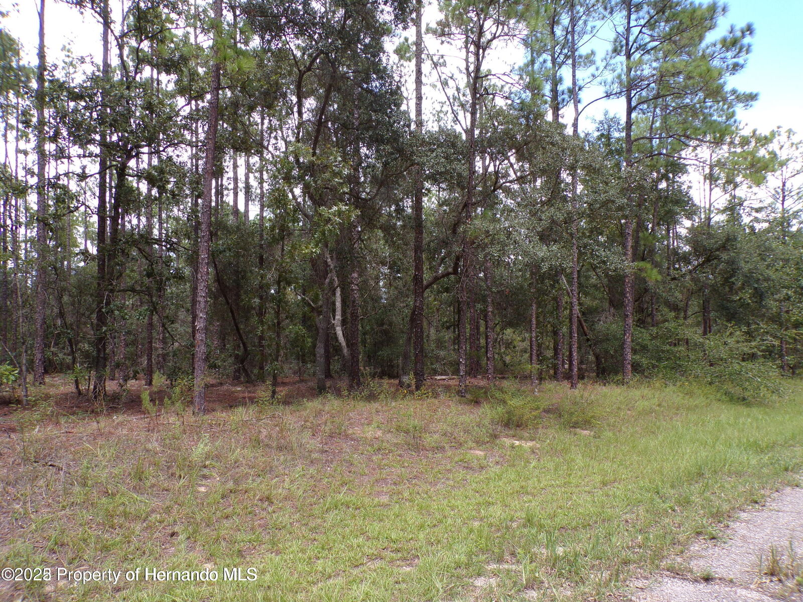 Property Photo:  617 E Marquette Lane  FL 34434 