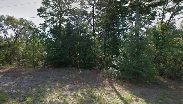 Property Photo: 9055 N Amboy Drive FL 34433