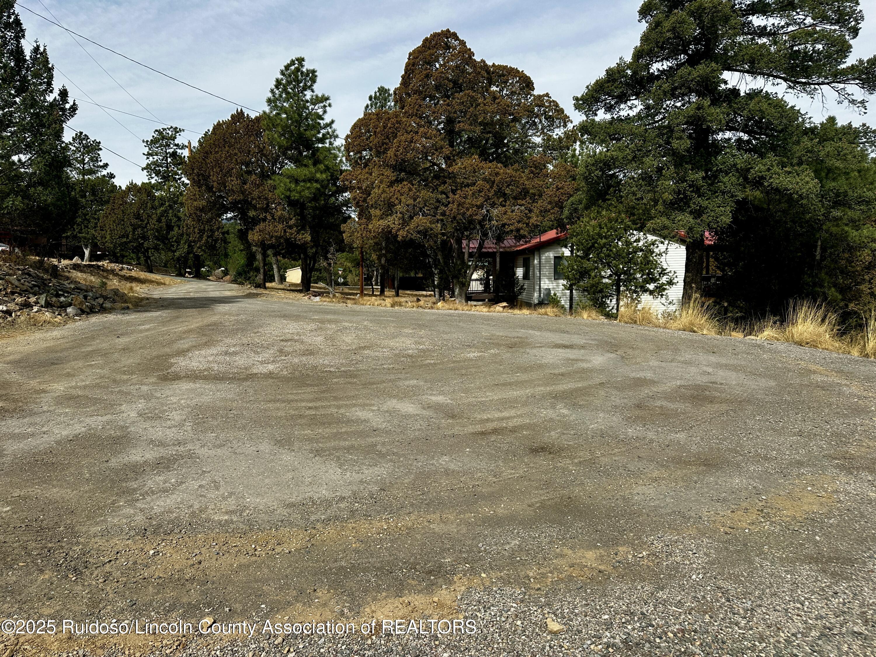 Property Photo:  110 Nopal Lane  NM 88345 