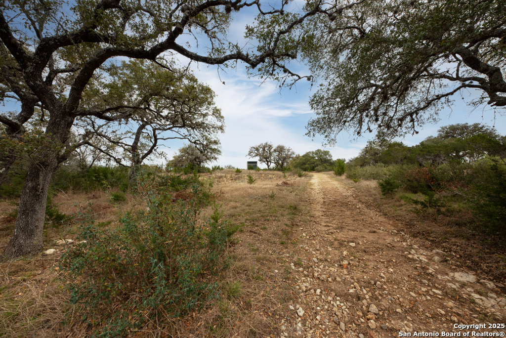 Property Photo: 246 Ada TX 78003