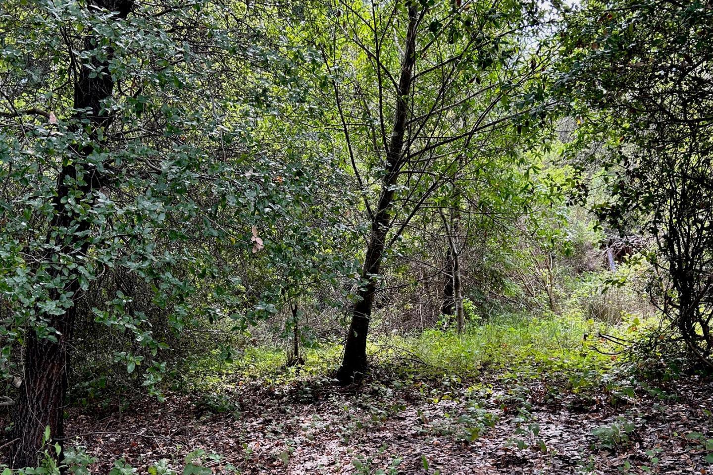 Property Photo: 0 Miracle Lane CA 95060