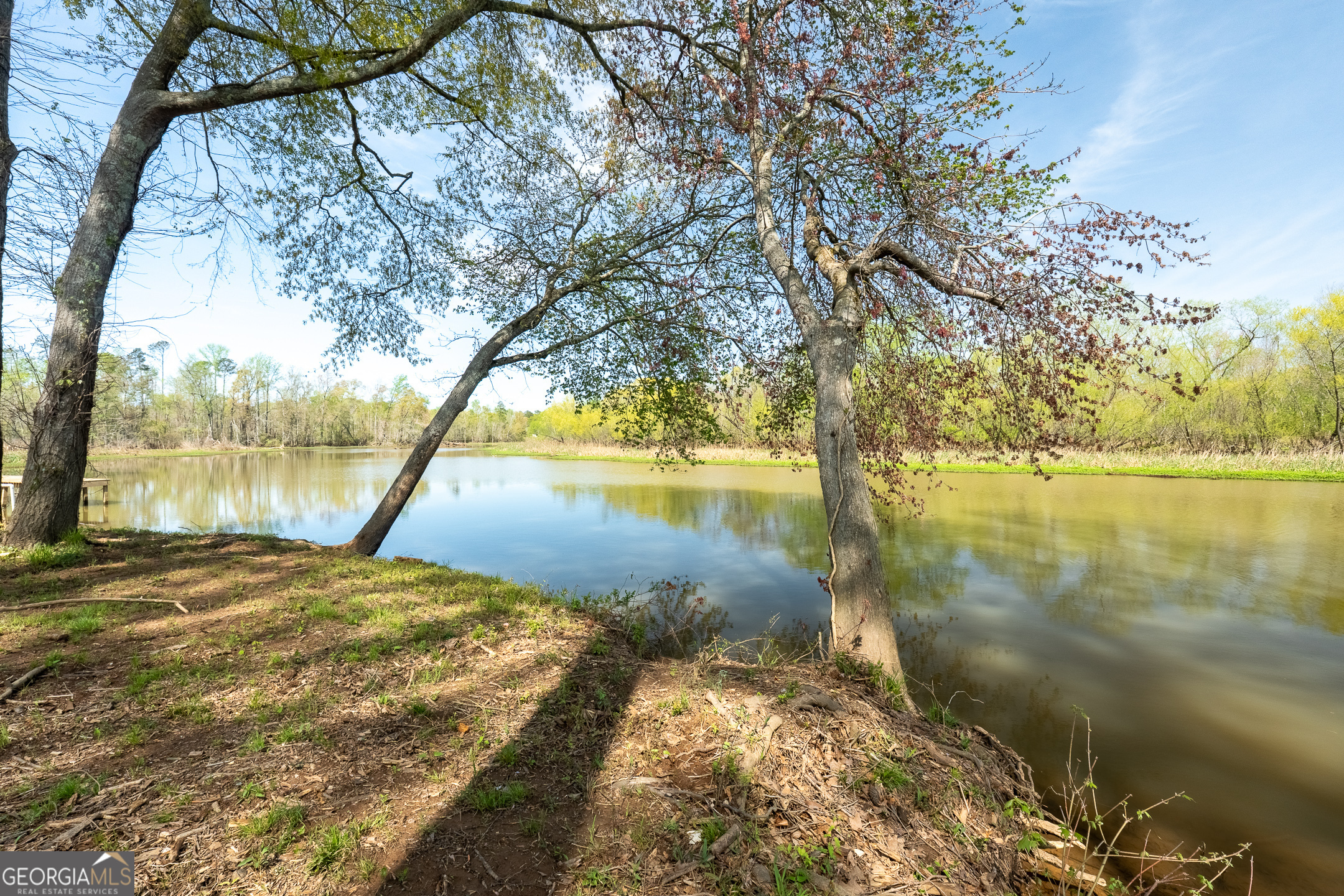 Property Photo: 0 Henry Higgins Road GA 30233