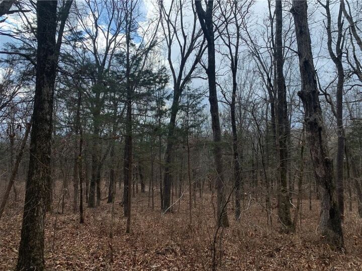 Property Photo:  14710 Summer Shade Road  AR 72774 