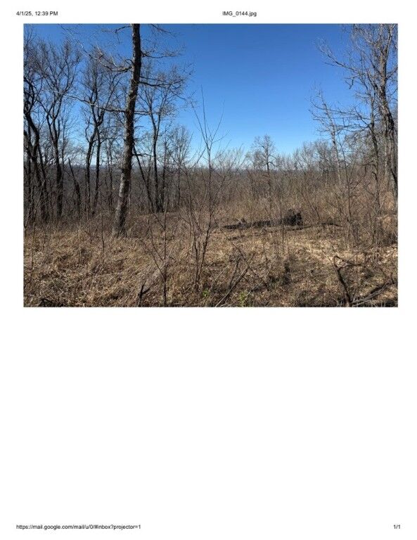 Property Photo: Lot 38 Peaceful Place AR 72681