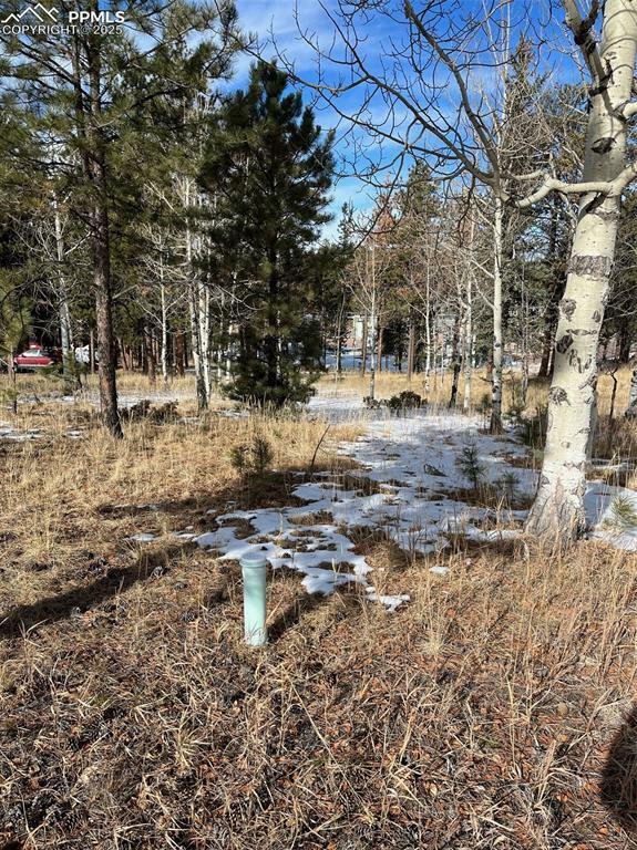 630 Pembrook Drive  Woodland Park CO 80863 photo