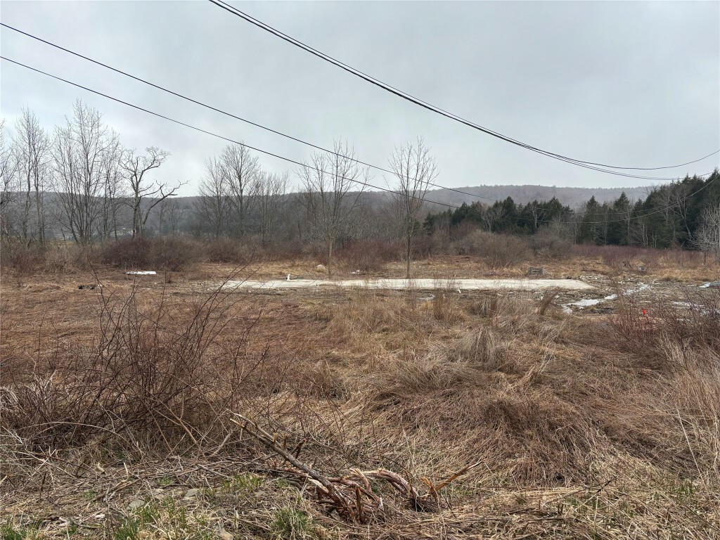 Property Photo: 381 Eggleston Road NY 13862
