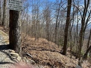 Property Photo:  28 Angel Road  NC 28785 