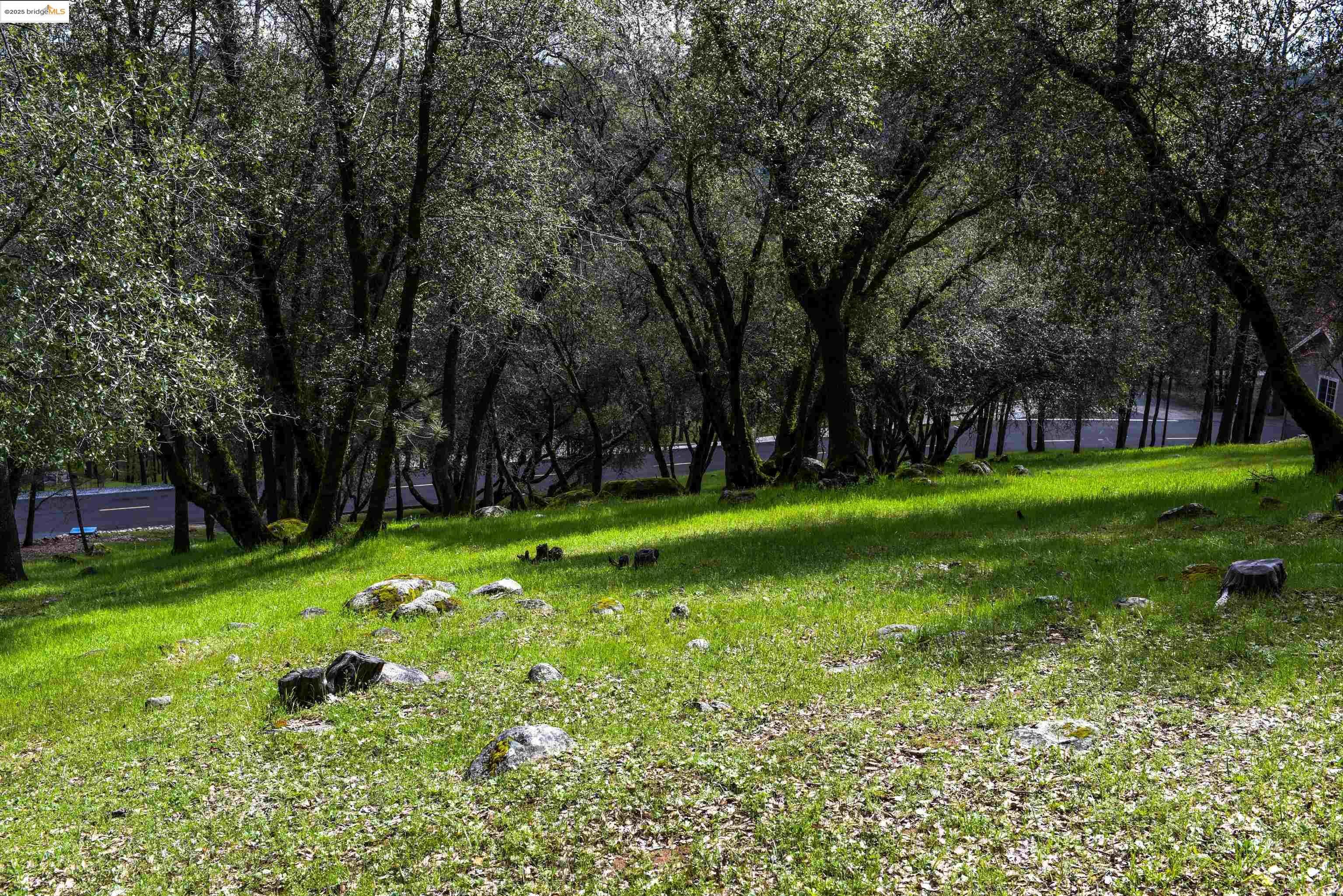 Property Photo: 19077 Apple Valley Dr. CA 95370