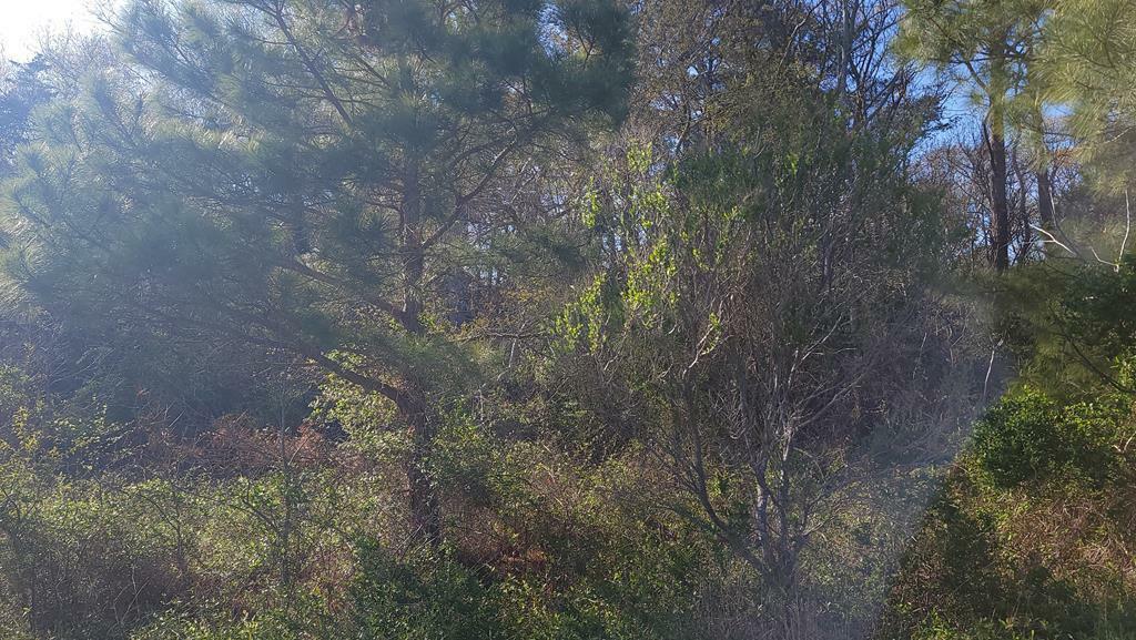 Property Photo: Lot 7 Liberty Dr VA 23407