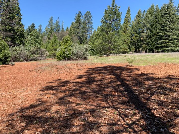 4 Copperton Road  Camino CA 95709 photo