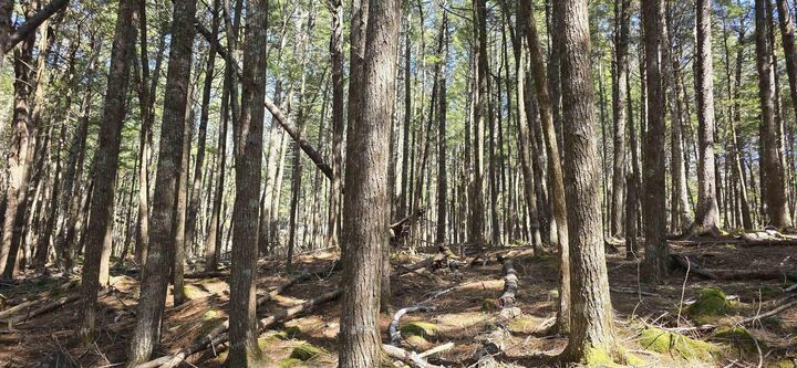 Property Photo:  Lot 3 Beaver Row  NS B0T 1E0 
