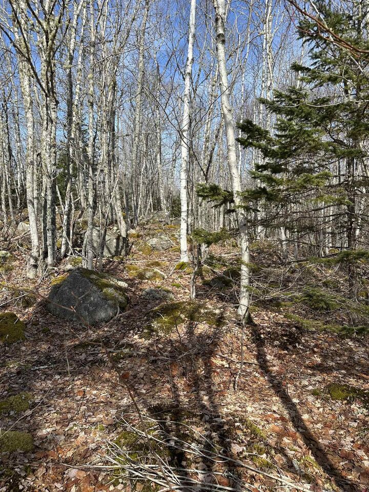 Lot 7 North River Road — photo 1
