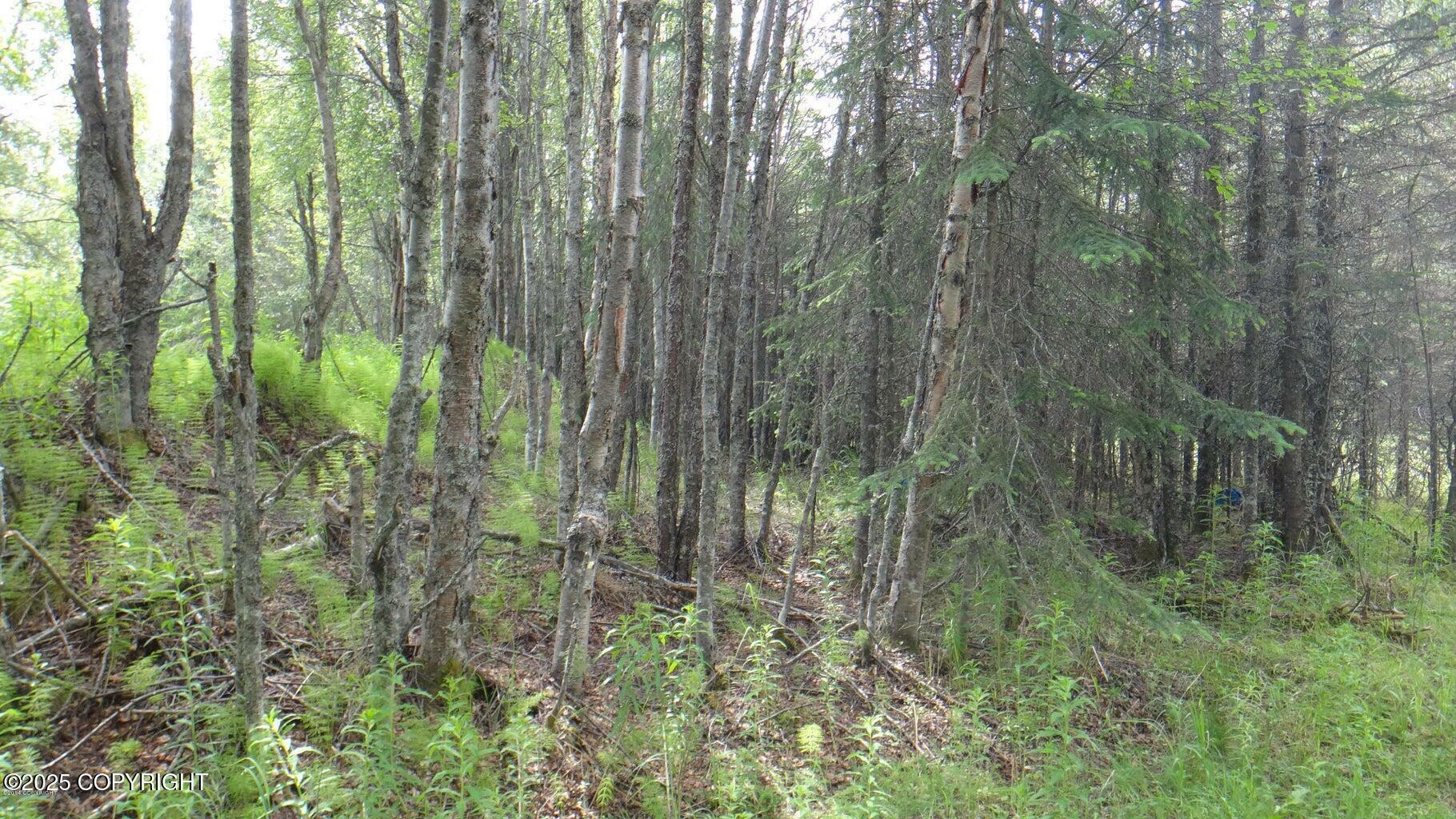 Property Photo: 1026 Third Street AK 99611