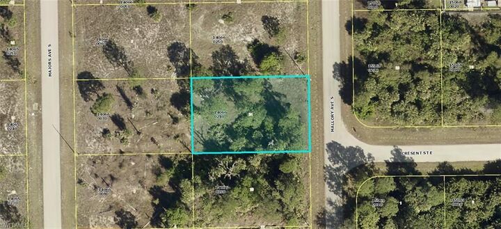Property Photo: 428 Mallory Ave S FL 33974