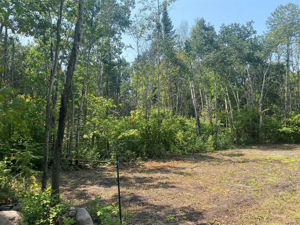 Property Photo: 36 Whitepine Road MB R0E 0B0