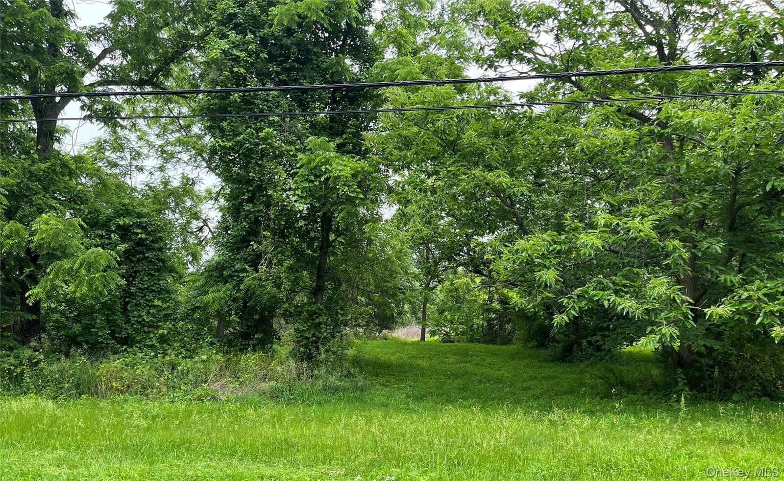 Property Photo:  Fingar Road  NY 11944 