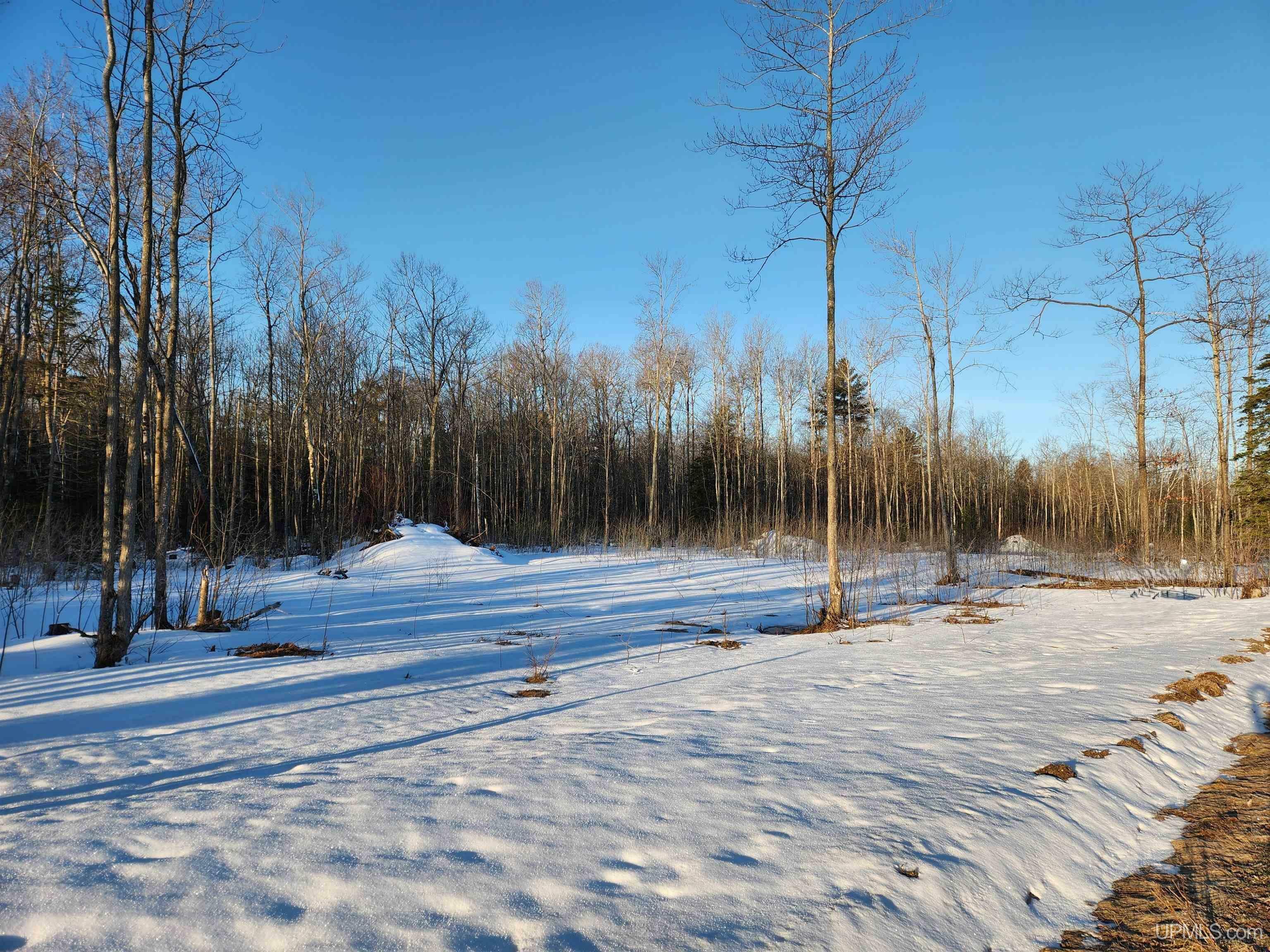 Property Photo: Unit 5 Greenway Drive MI 49916