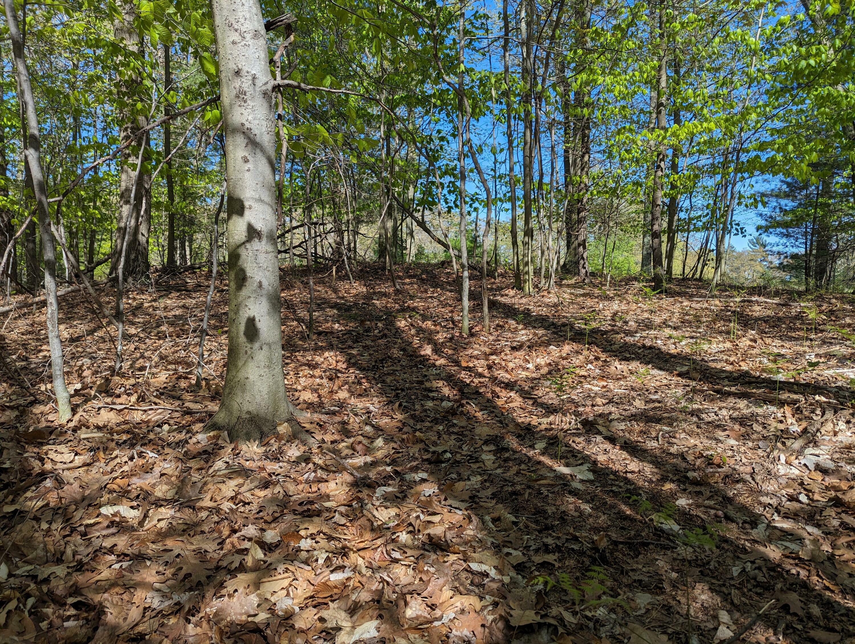 Property Photo: Lot 39 Novadoc Boulevard MI 49436