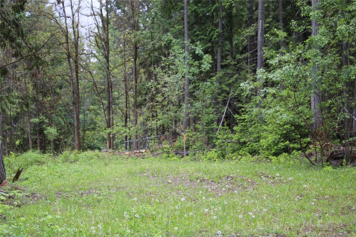 Property Photo: 8457 Squilax-Anglemont Road BC V0E 1M9