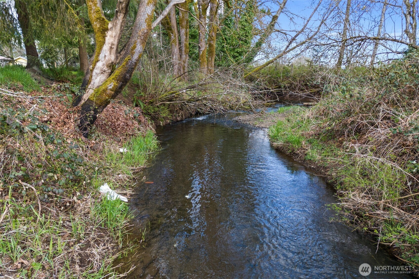 Property Photo: 220 California Street WA 98572