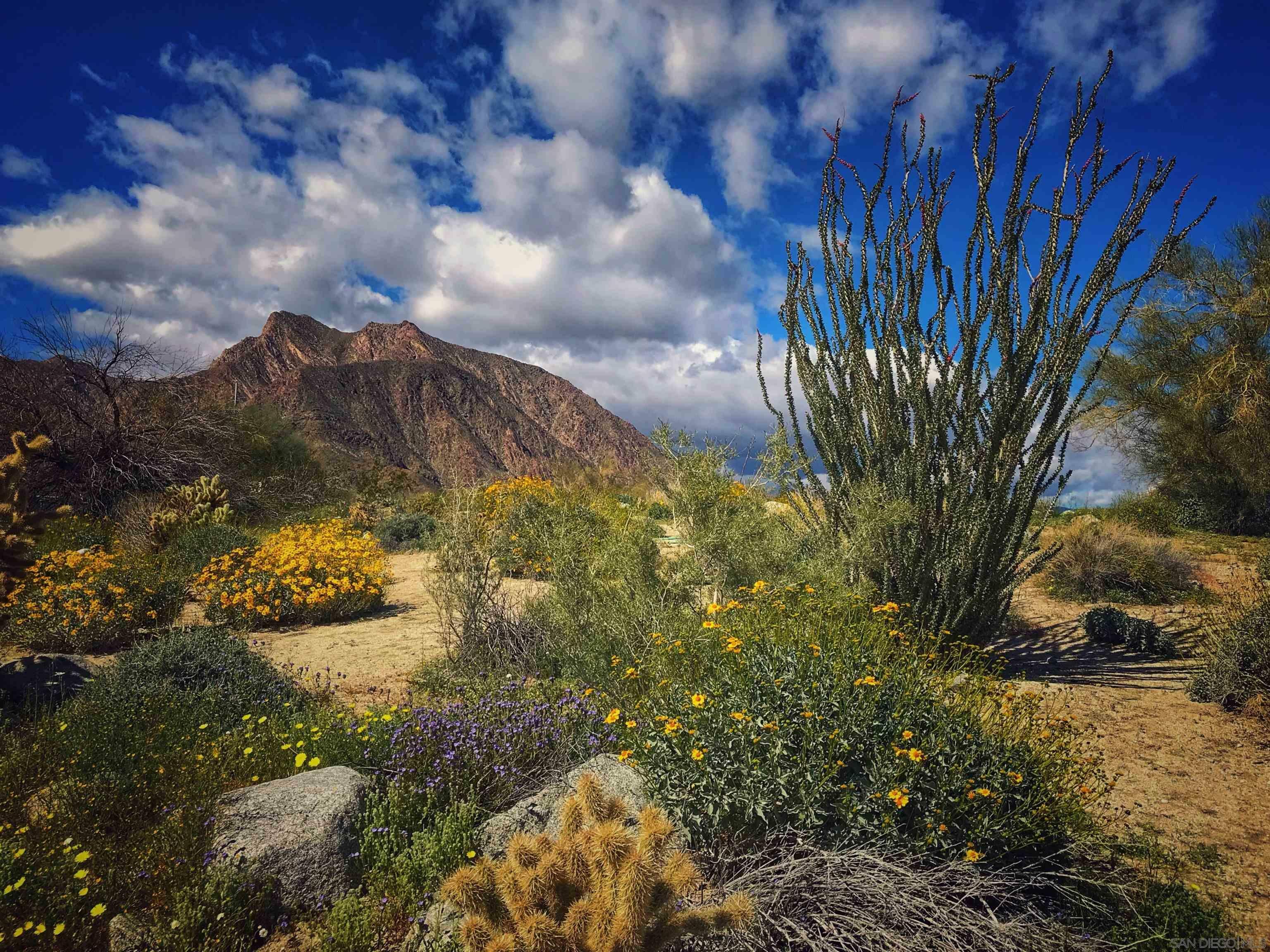 0 Palm Canyon Dr. 0  Borrego Springs CA 92004 photo