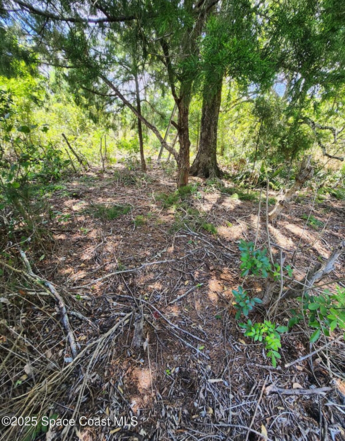 Property Photo:  2801 Satellite Boulevard  FL 32926 