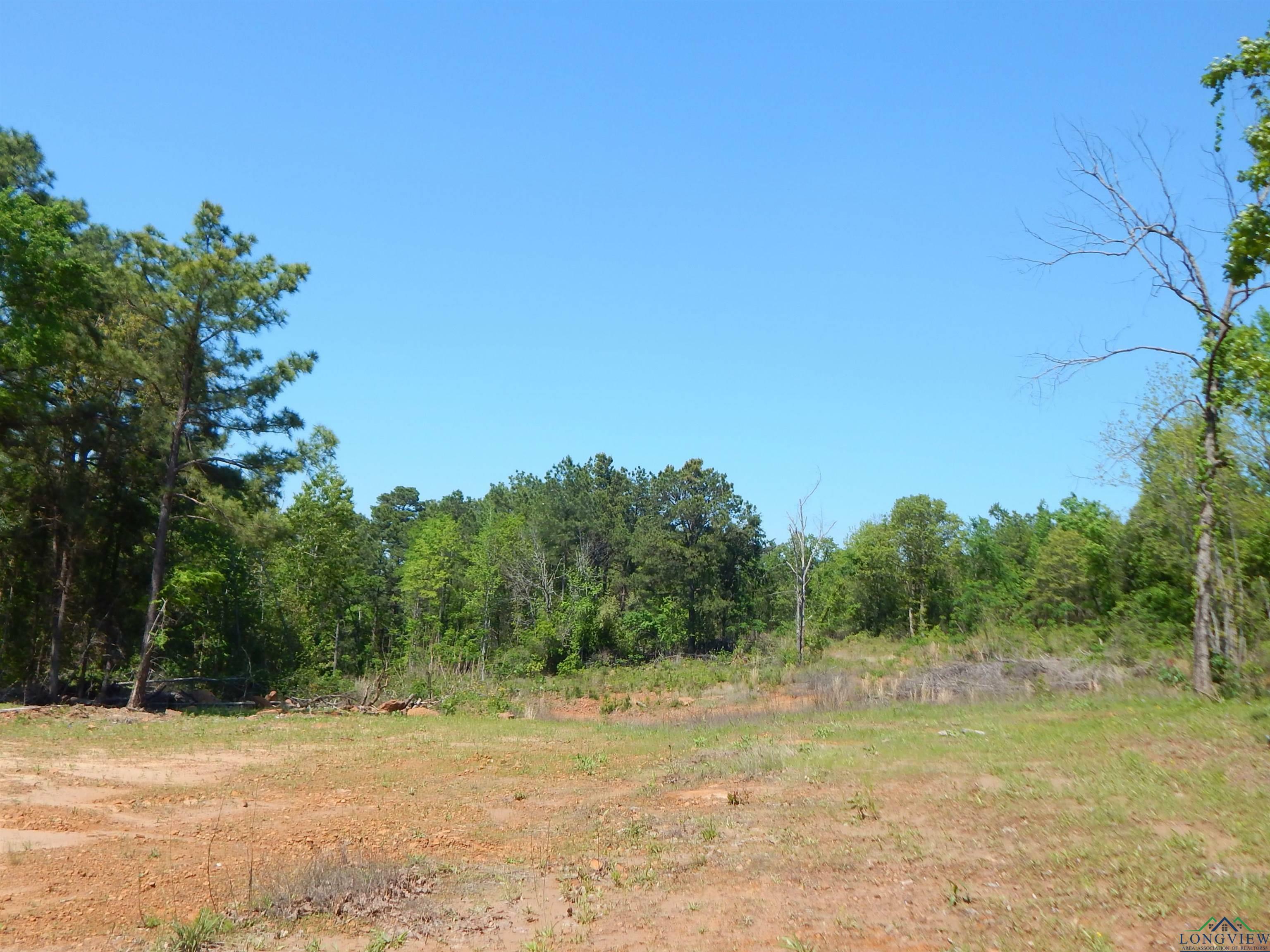 Tbd 15 Acres Fm 1795 Side 2  Big Sandy TX 75755 photo