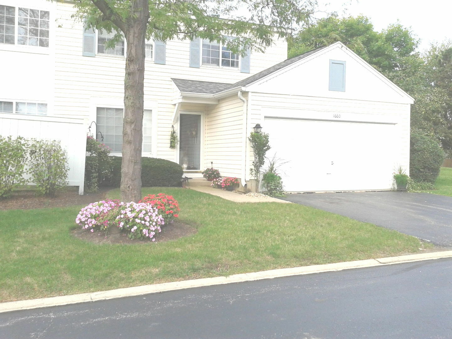 1660 Normantown Road  Naperville IL 60564 photo