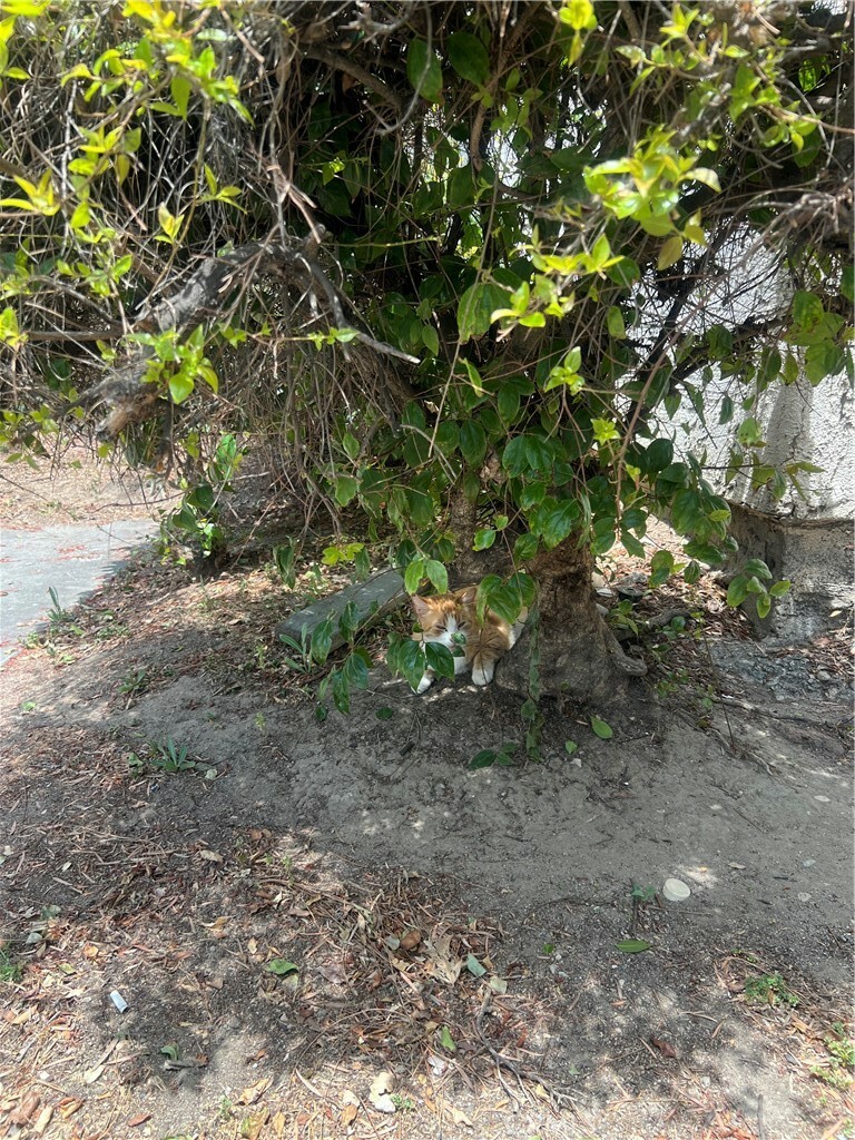 Property Photo:  8601 International Avenue 265  CA 91304 