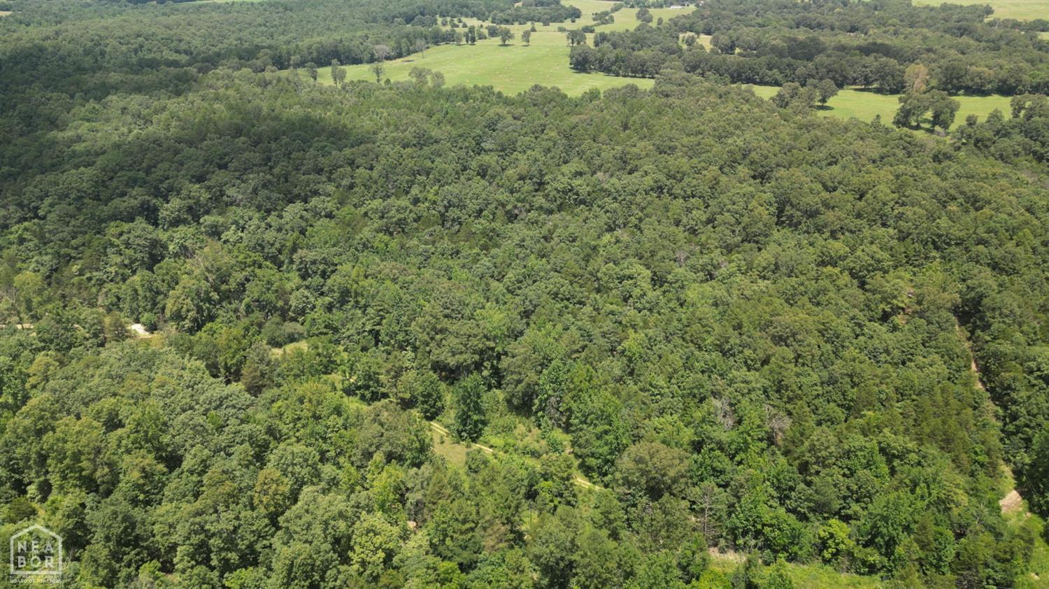 Property Photo: 881 Driftwood Drive AR 72566