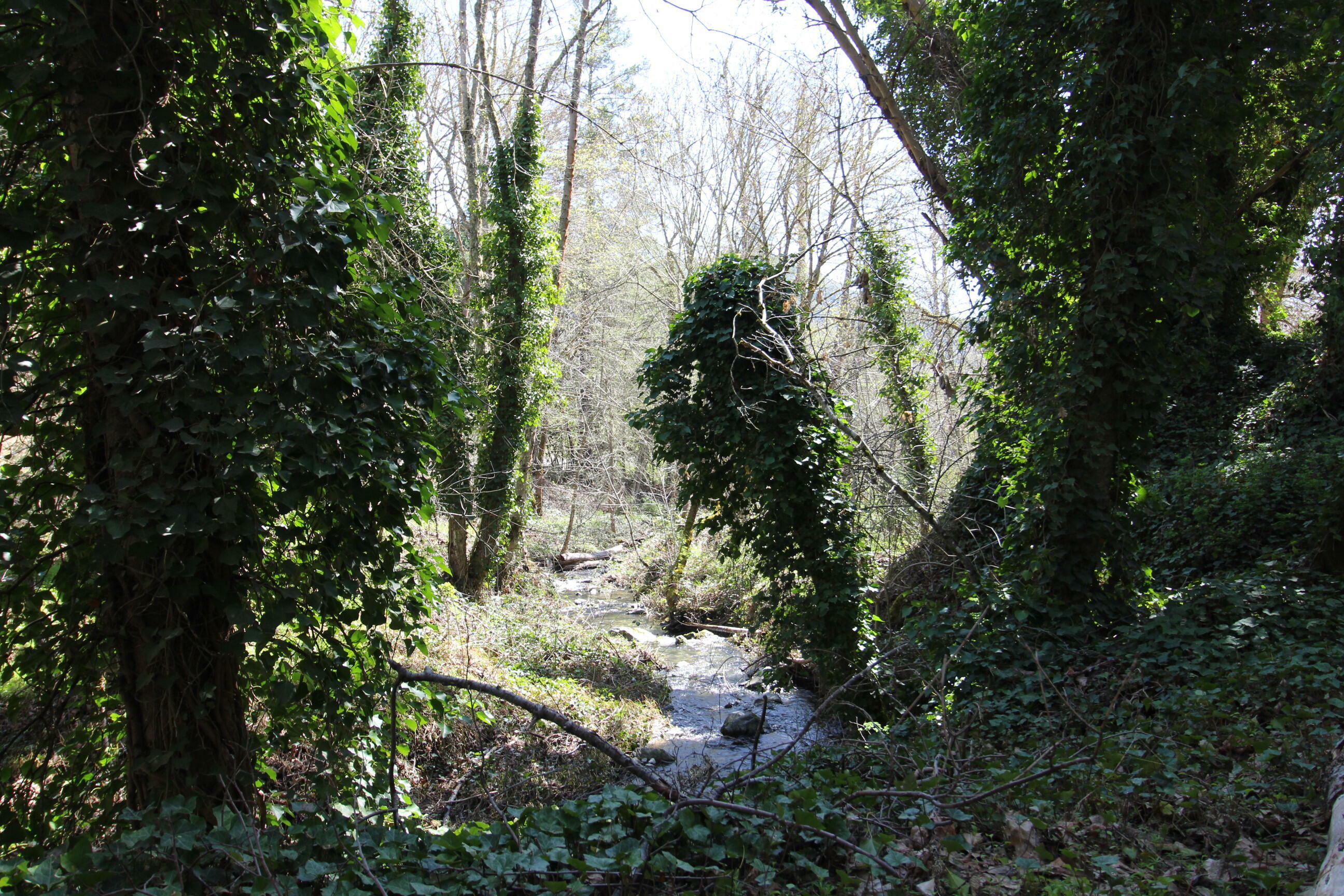 Property Photo: 2319 Humbug Creek Road OR 97530