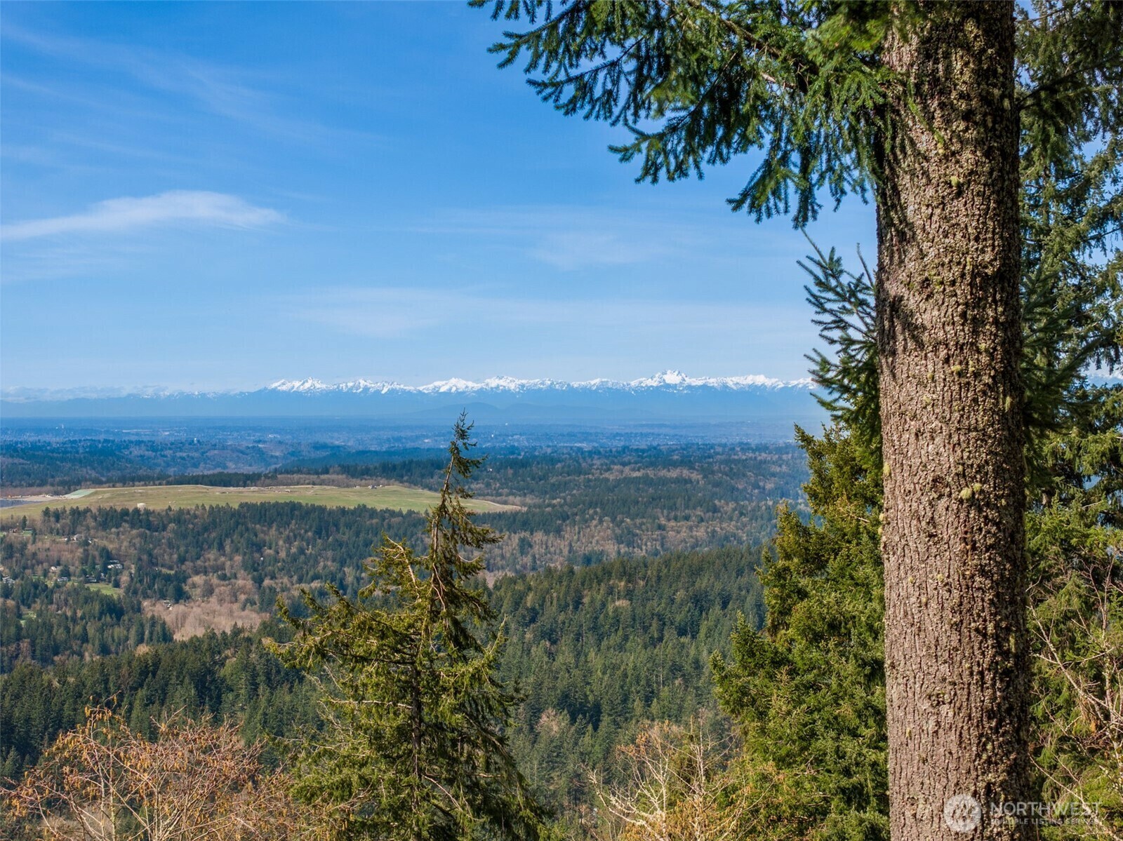 Property Photo: 27503 SE 154 Place WA 98027
