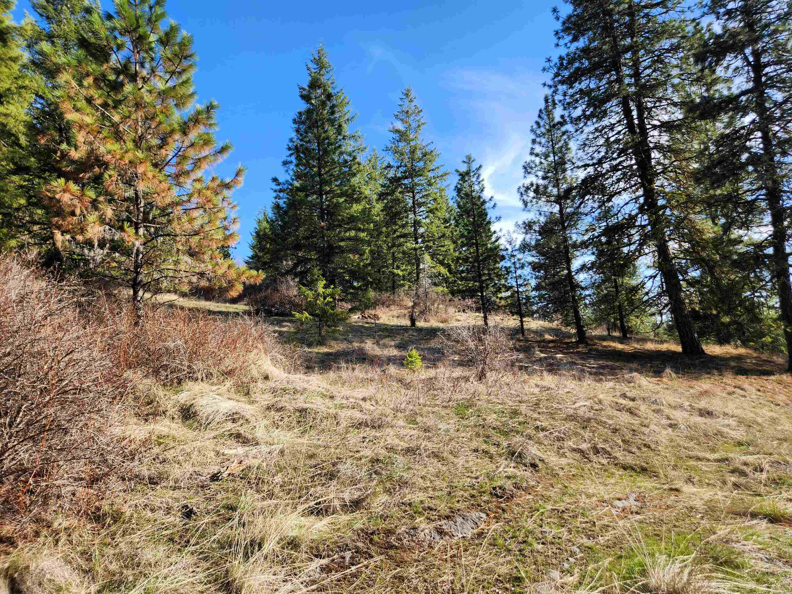 Property Photo: 4021 Bissell Rd WA 99137