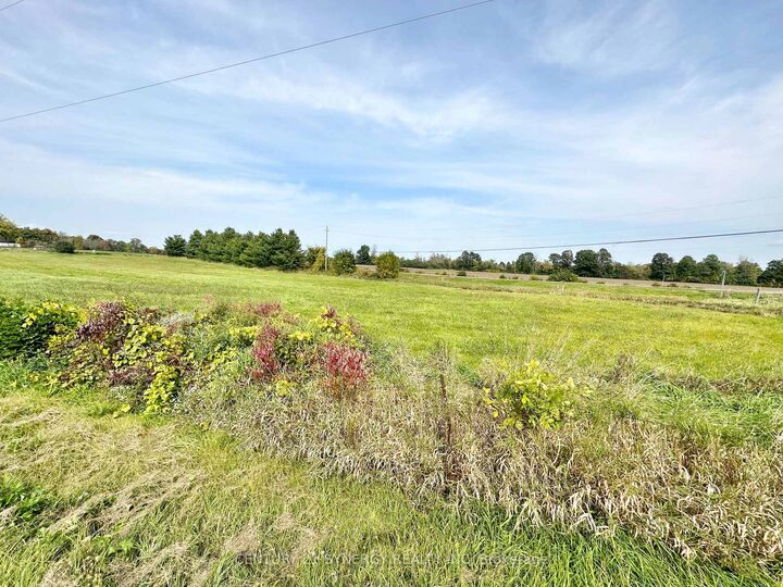 0 County Road 1 Road — photo 1