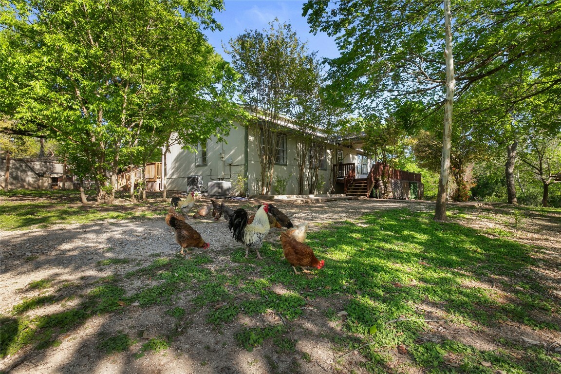 24201 Sheep Hollow Trail  Leander TX 78641 photo