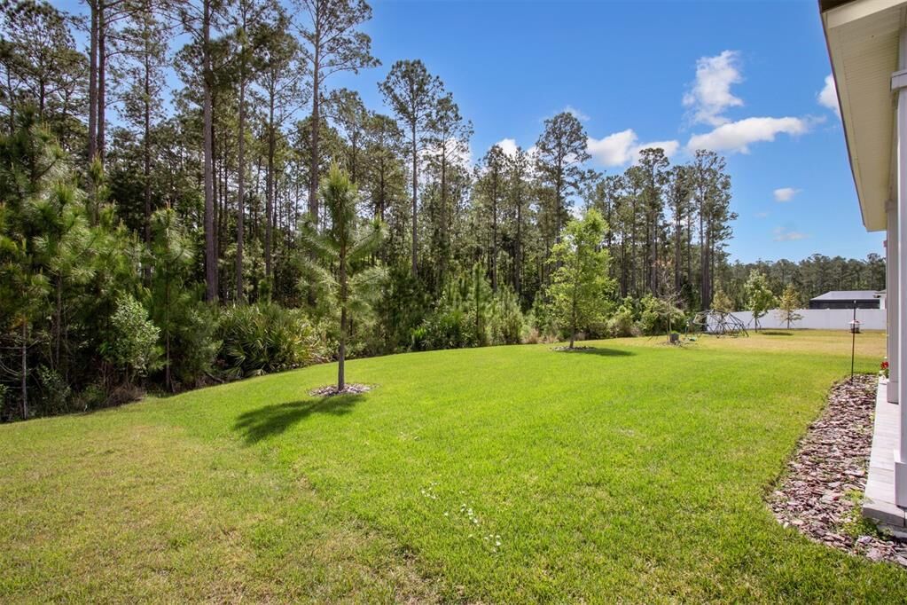 Property Photo:  386 Saw Palmetto Street  FL 32097 
